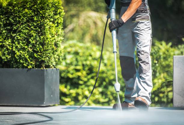 Best Pool Deck Cleaning  in Wickes, AR